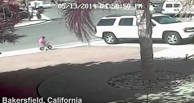 (VÍDEO) Un gato salva a un niño del ataque de un perro