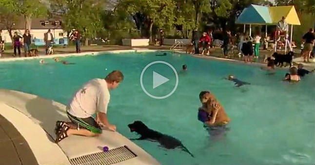 (Vídeo) Canadá abre piscinas para perros