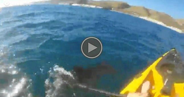(Vídeo) Usa el remo para defenderse de un tiburón