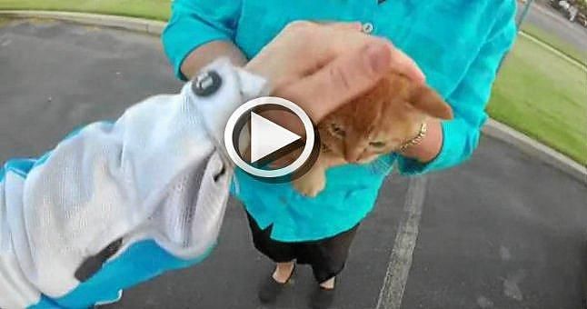 (VÍDEO) Una motera salva a un gatito de una muerte segura