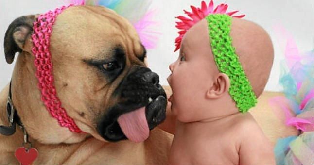 Convivir con perros y otros animales disminuye el asma infantil
