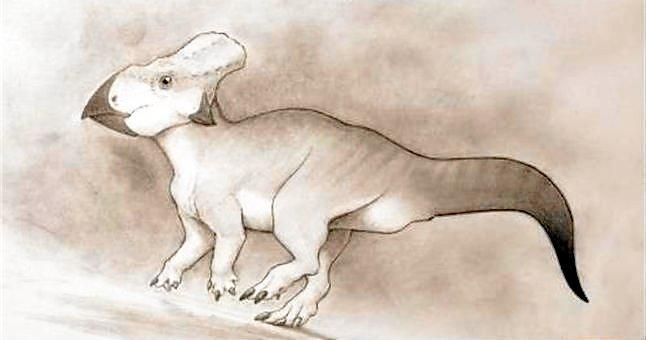 Hallan un raro fósil de dinosaurio con cuernos en el este de EE.UU