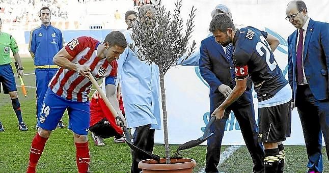 Atlético y Sevilla plantaron el 'Olivo de la Paz'