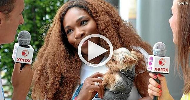 Serena Williams se comió la comida de su perro