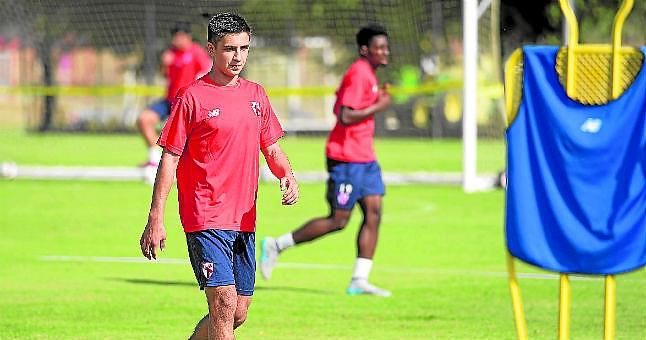 La complicada adaptación de Shved al Sevilla