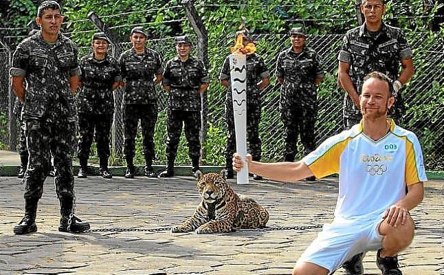 Matan a tiros a Juma, el jaguar que acompañaba a la antorcha olímpica en Brasil