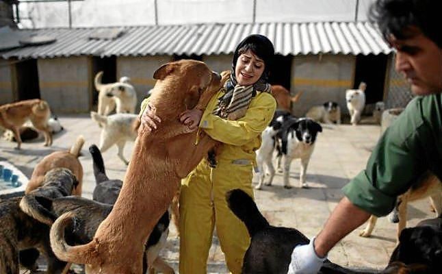 Irán confisca perros por ser "un símbolo de la vulgar cultura occidental"