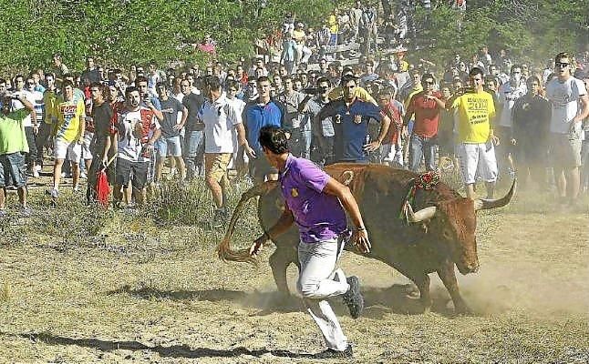 La Junta de Castilla y León insta a Tordesillas a cumplir la ley si quiere celebrar el Toro Vega