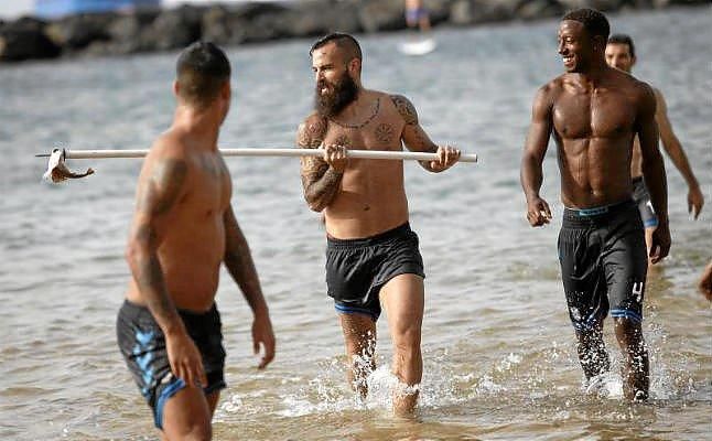 Expedientan al Tenerife por matar a una cría de tiburón durante un entrenamiento