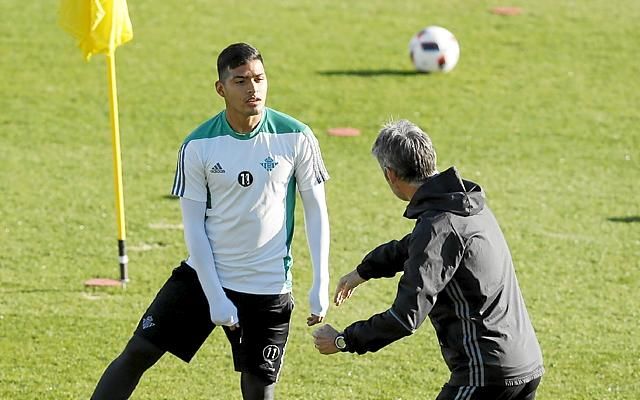 Un posible destino para Nahuel