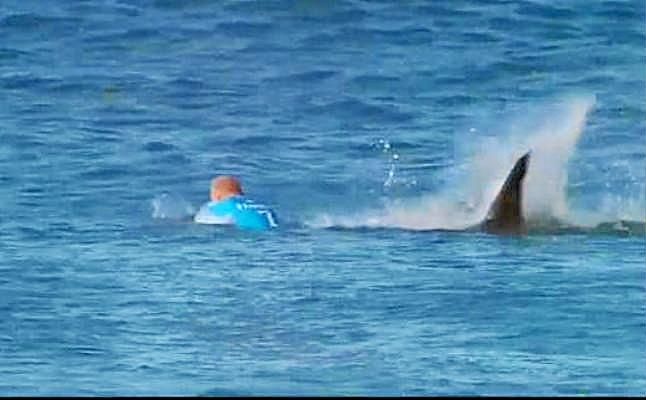 Muere un joven al ser atacado por un tiburón mientras practicaba bodyboard