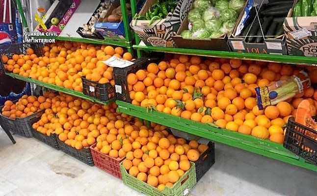 Detenidas 23 personas por robar más de 50.000 kilos de naranjas en fincas agrícolas de la provincia