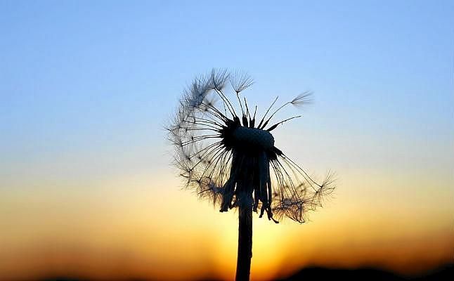 El seguro gestiona el 57% de los sepelios en España