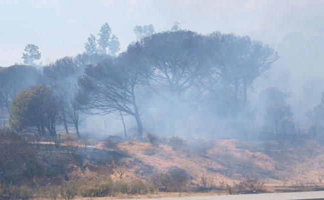 Controlado el incendio forestal en Doñana
