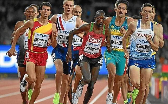 Mechaal, a la final de 1.500 metros