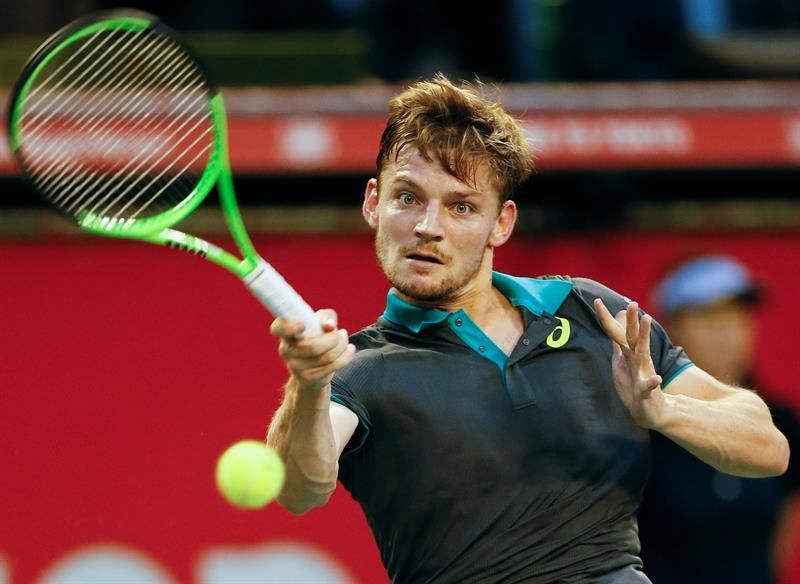Goffin sigue en forma y logra el título en Tokio