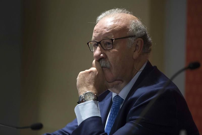 Del Bosque: "Se ha recobrado la confianza en la selección"
