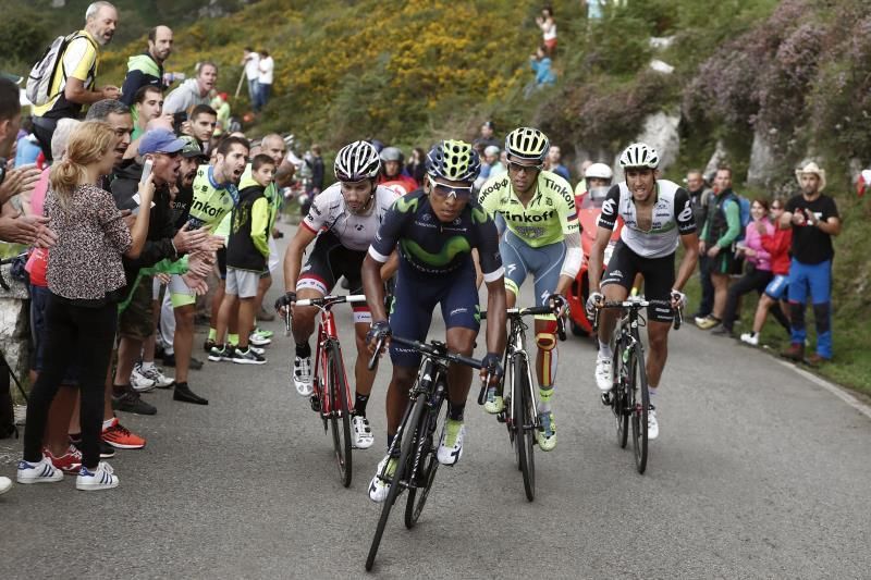 La Vuelta "corona" su paso por Asturias con final de etapa en Los Lagos
