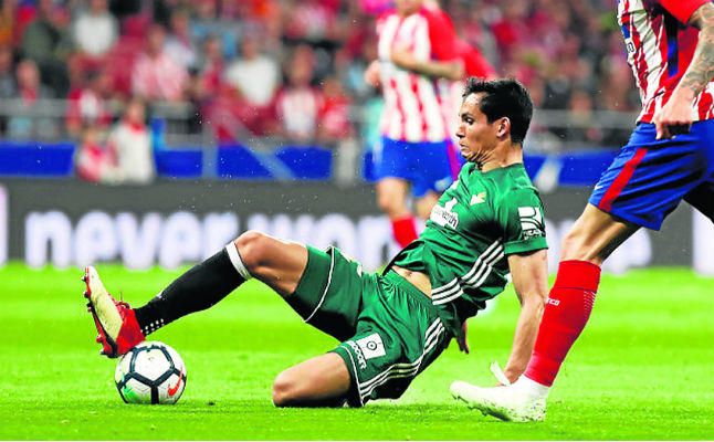 Mandi roza la perfección