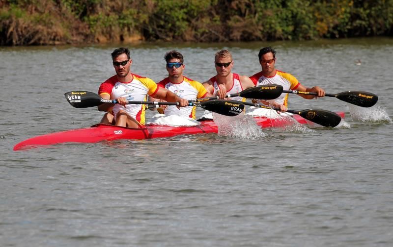 Craviotto, Toro, Walz y Germade a por el oro en el Mundial en k4 500