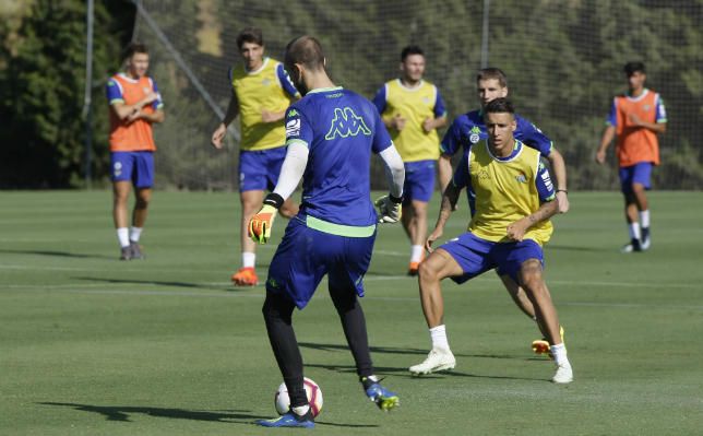La afición prefiere a Pau López