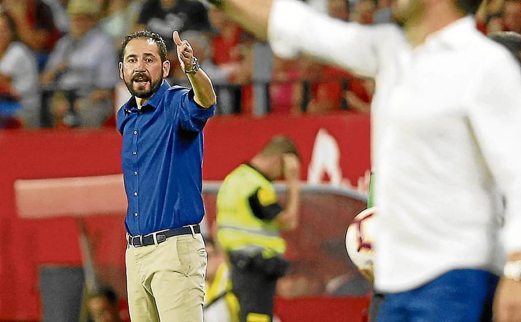 No hay tiempo para lamerse las heridas