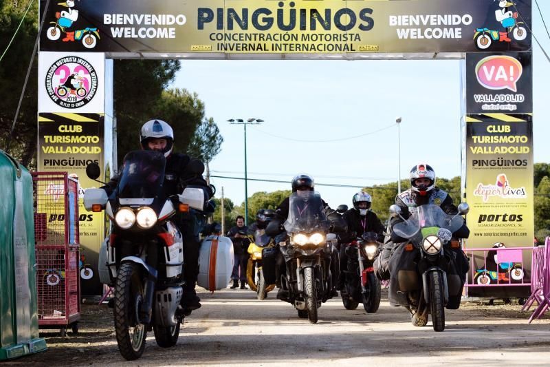 Pingüinos 2019 "planta cara" al frío y ya desprende camaradería y olor a leña