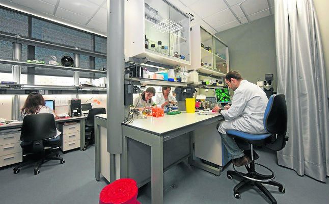 Sevilla hace piña en el Día contra el Cáncer