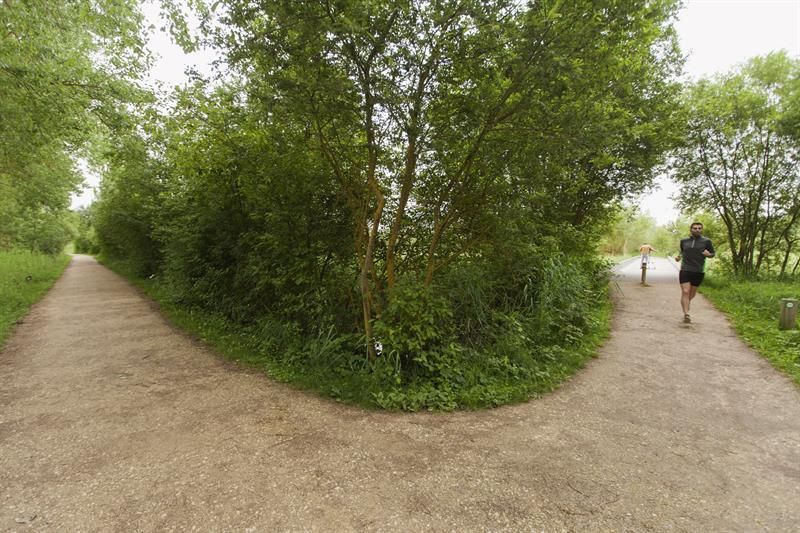 El entrenamiento deportivo mitiga las pérdidas cerebrales asociadas a la edad