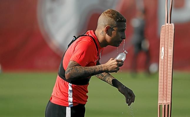 Una interesante vía para acabar con la "pesadilla" de Arana