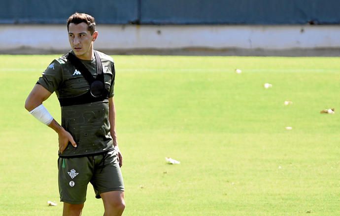 Guardado y la "formalidad" de su renovación
