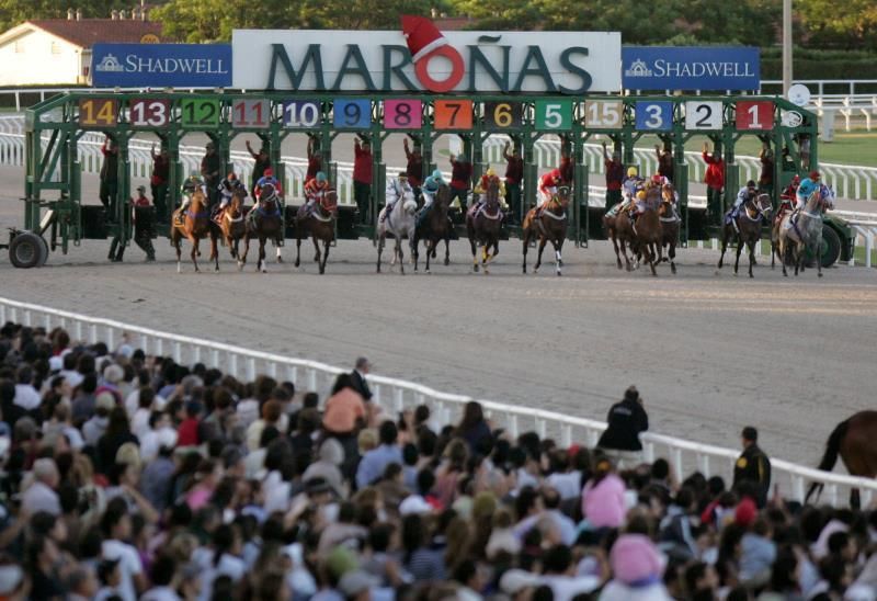 Uruguay prepara el Gran Premio Ramírez, "fiesta" de la hípica y del deporte