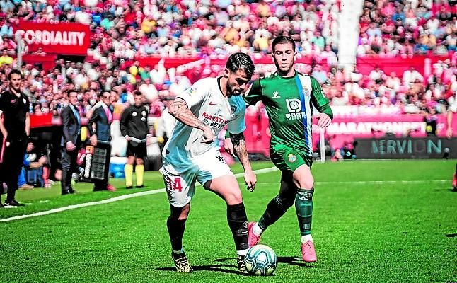 Suso florece en un campo yermo