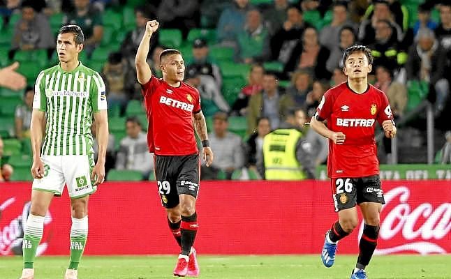 Sin defensa no hay paraíso