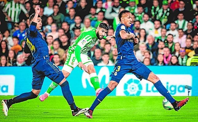 Lo despiertan de su letargo