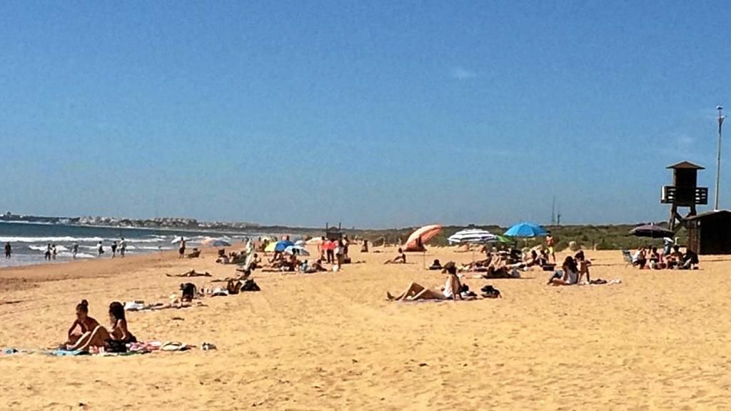 Llega la Nueva Normalidad a Andalucía: ¿Qué puedo hacer y qué no?