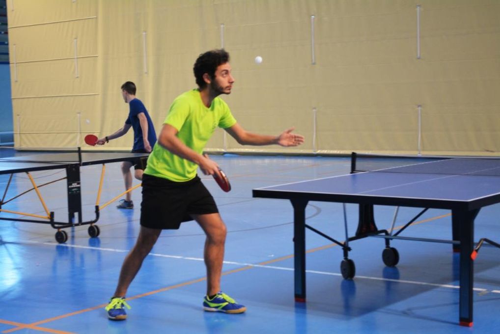 Punto, set y partido