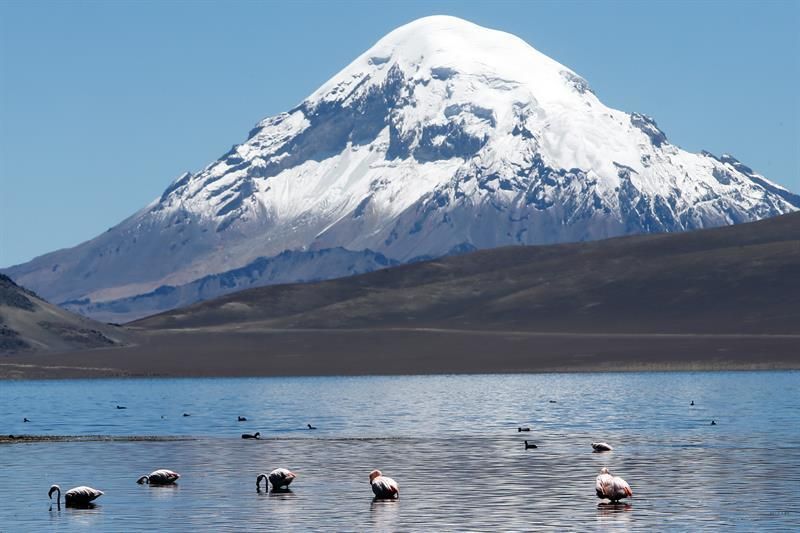 'La Sirena de hielo', hito de Chile en 2020, espera el reconocimiento en 2021