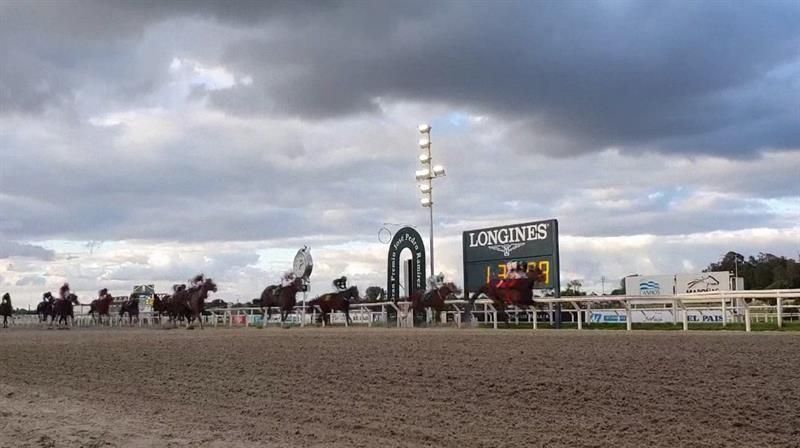 El caballo Atlético El Culano gana el Gran Premio Ramírez uruguayo