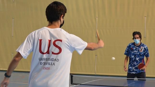 Los estudios de la Universidad de Sevilla, muy unidos al deporte