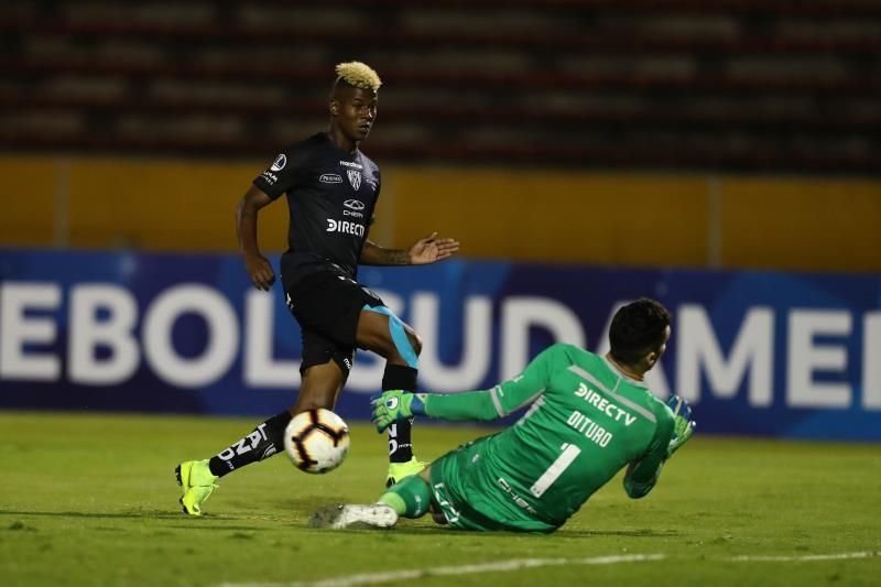El ecuatoriano Corozo cree que en Pumas UNAM explotará como goleador