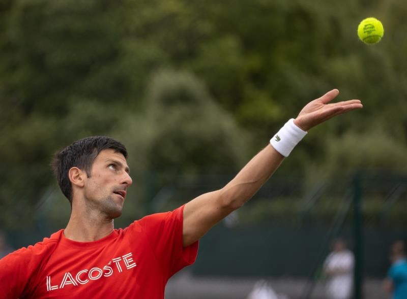 Djokovic: "Espero saber cómo es tener 20 Grand Slam en unos días"