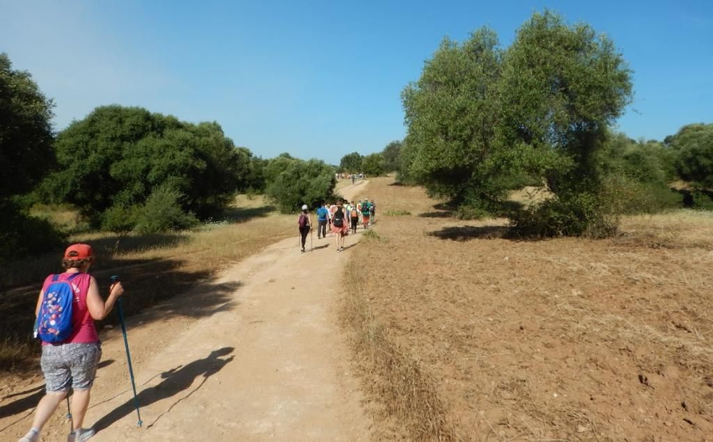 ¿Qué material necesito para participar en el Programa de Senderos?