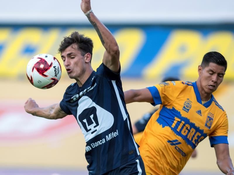 El argentino Dinenno confía en la decisiva recuperación de los Pumas