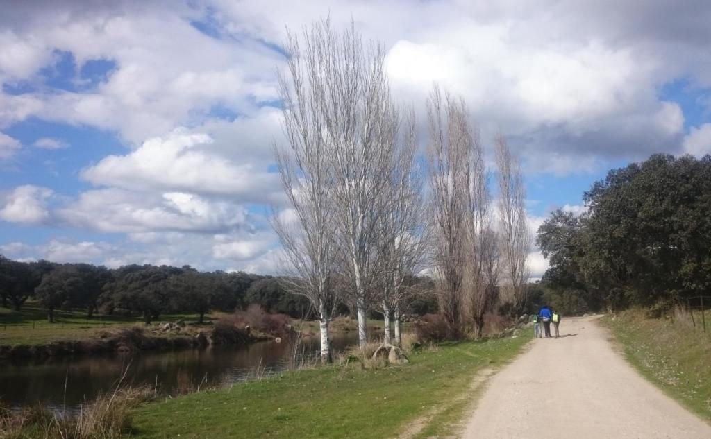 Camino el Batrocal: riqueza paisajística y faunística en El Real de la Jara