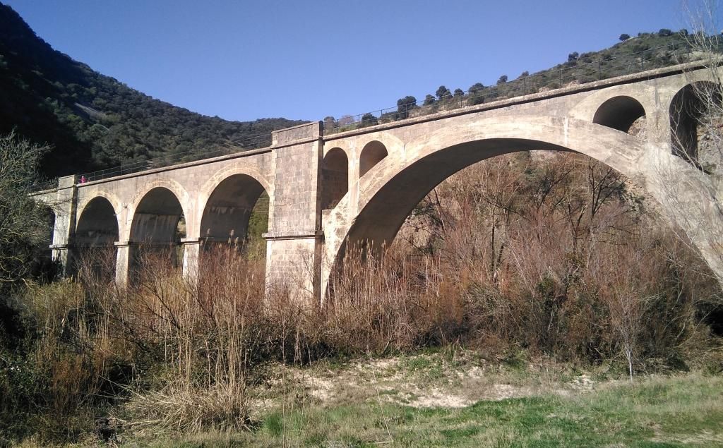 El circular de San Pedro, un sendero que esconde una espectacular encina con más de 200 años