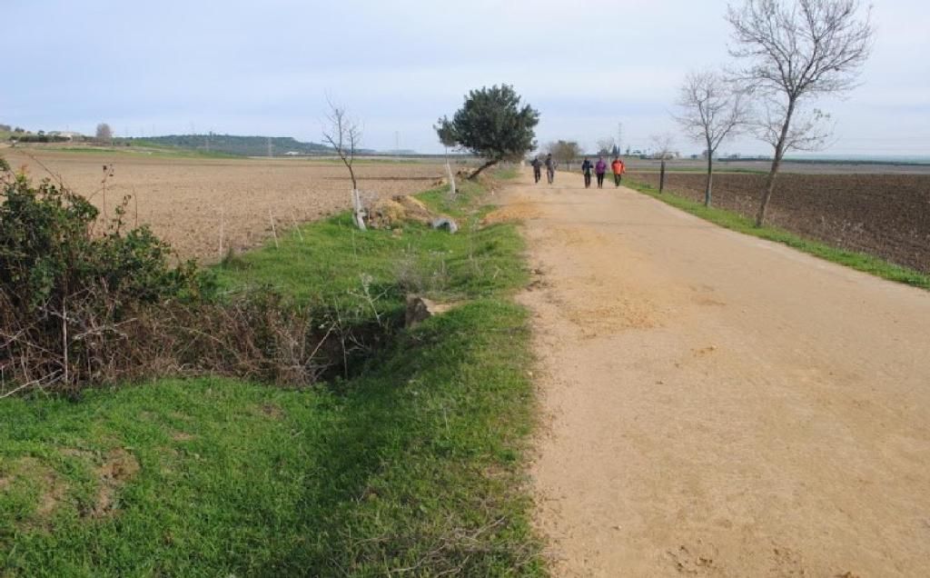 Vía verde de Los Alcores: del Tren de los Panaderos a nuestros días
