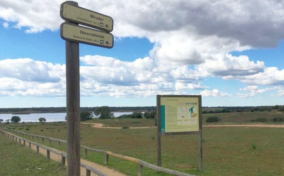 Dehesa de abajo-Entremuros: una ruta de vado a vado por Doñana