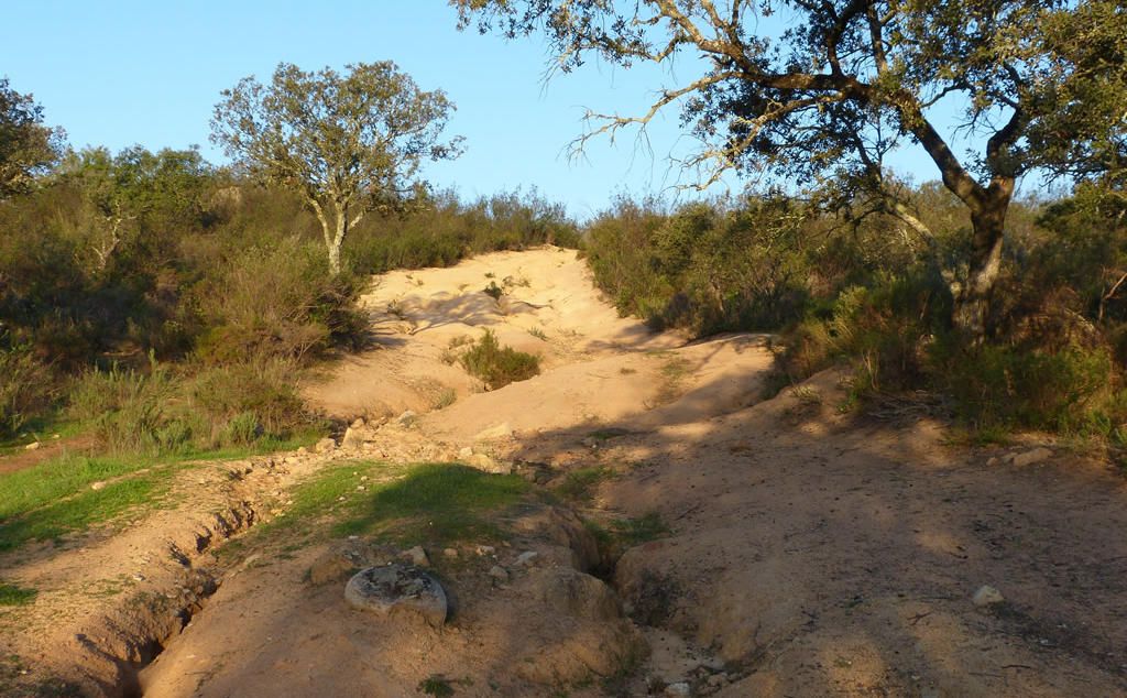 Los Camellos, un paseo hasta la Rivera del Guadiamar