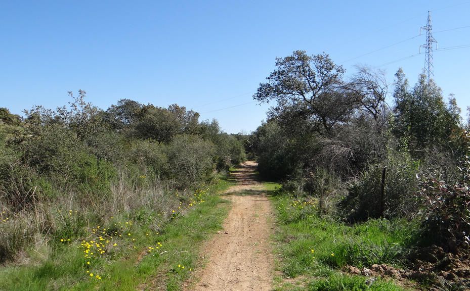Camino de los arrieros: un sendero para todos los públicos en Gerena